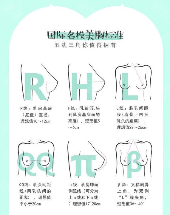 大,弹性好,软硬度适中,皮肤有光泽,常挺立,丰满,匀称,柔韧,大小适中