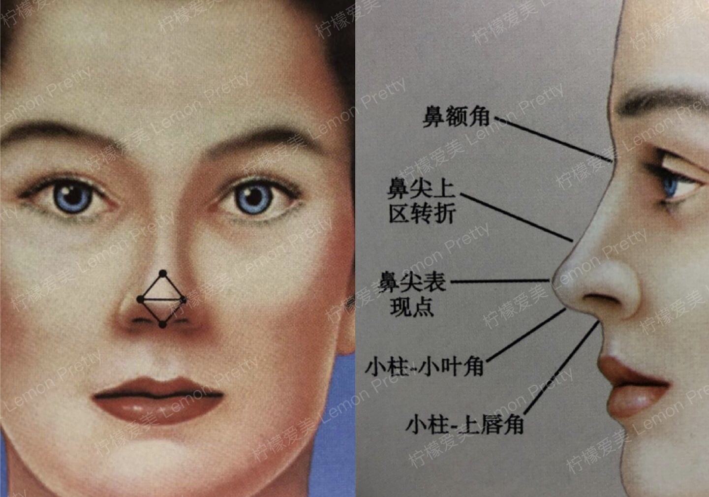如何才能拥有一个盒型鼻头?