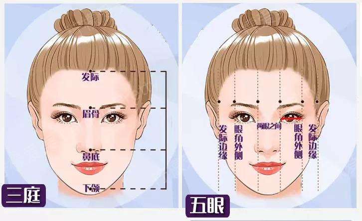 鼻背弧度决定面部是否生动活现