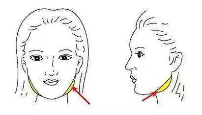 想要瘦臉效果好,打瘦臉針之前一定要先了解這個