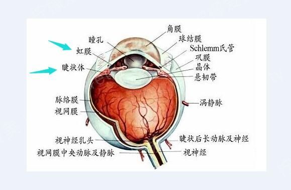 割雙眼皮,開眼角導致眼球充血後會失明嗎?